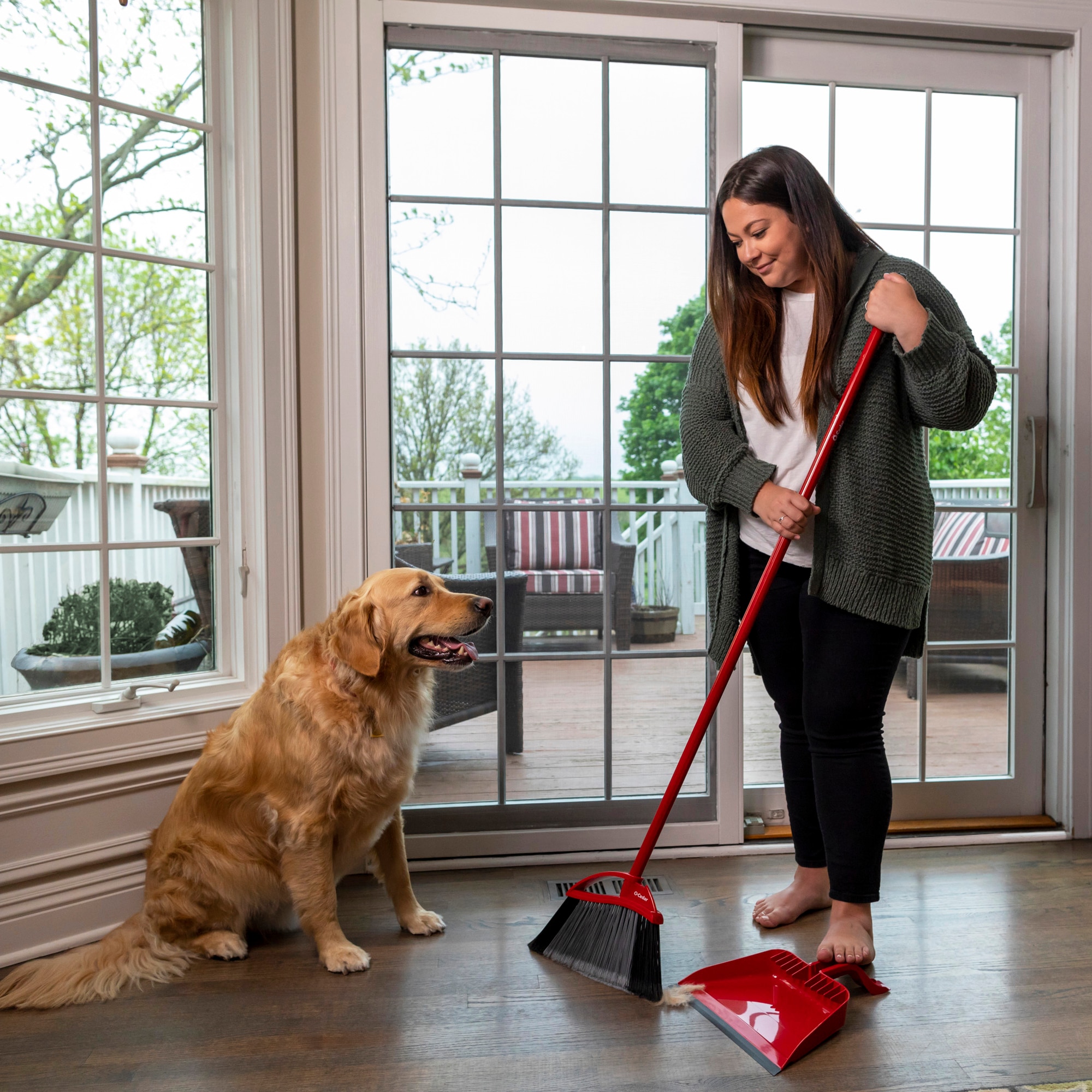 Pet Cleaning Tips, Household Cleaning Products Made for Easy Cleaning